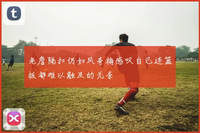 老詹隔扣仍如风夸梅感叹自己连篮板都难以触及的无奈